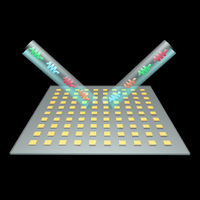 Realization of a Programmable Multipurpose Photonic Quantum Memory with Over-Thousand Qubit Manipulations