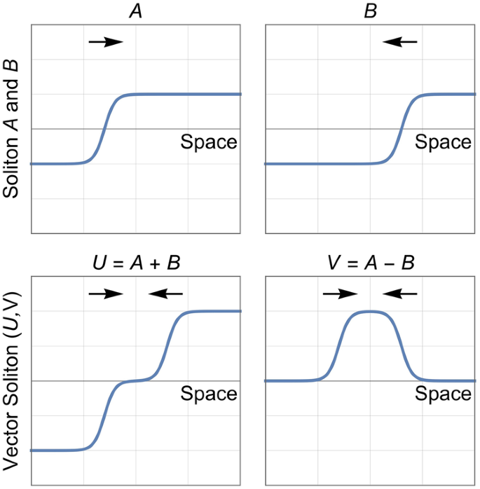 Static vector solitons in a topological mechanical lattice