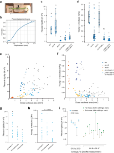 Contributions of lignification, tissue arrangement patterns, and cross-sectional area to whole-stem mechanical properties in Arabidopsis thaliana.