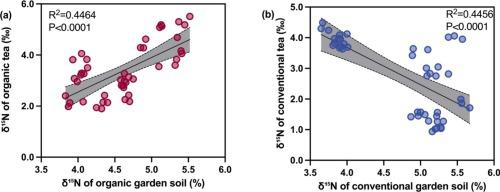 Decades-long organic tea production is distinguished by N deficiency: Evidence from soil and tea δ15N data