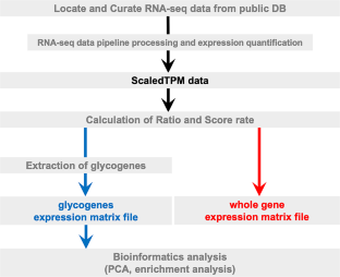 Identification of drug responsible glycogene signature in liver carcinoma from meta-analysis using RNA-seq data.