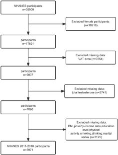 Association between visceral adipose tissue and total testosterone among the United States male adults: a cross-sectional study.