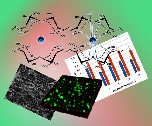 Hydroxyapatite-loaded macroporous calcium alginate hydrogels: Preparation, characterization, and in vitro evaluation