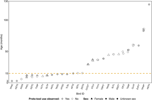 Proto-tool use for food processing in wild Arabian babblers: matching processing methods, substrates and prey types