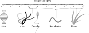 A Review of Computational Modeling of Fluid-Immersed Flexible Filaments