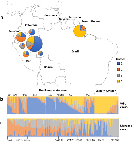 Genotyping of cacao (Theobroma cacao L.) germplasm resources with SNP markers linked to agronomic traits reveals signs of selection