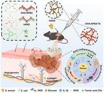 Micro-environment triple-responsive hyaluronic acid hydrogel dressings to promote antibacterial activity, collagen deposition, and angiogenesis for diabetic wound healing†
