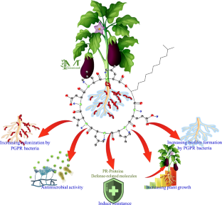 Surfactin as a multifaceted biometabolite for sustainable plant defense: a review