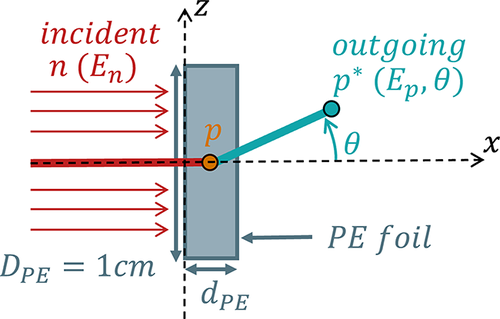 AI-supported Modelling of a Simple TPR System for Fusion Neutron Measurement