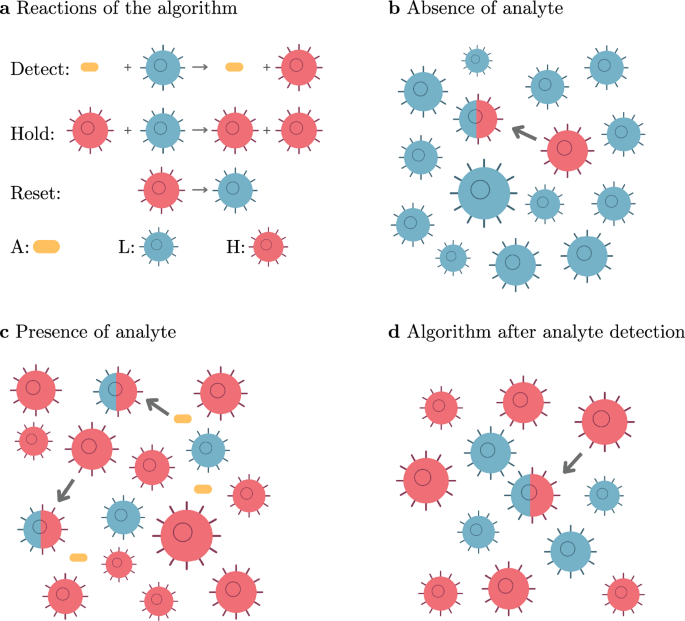 An Allee-based distributed algorithm for microbial whole-cell sensors