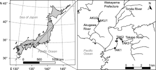 Trophic ecology of Japanese eels in small rivers of urban and agricultural areas