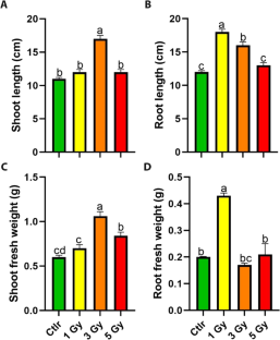 Exploring low-dose gamma radiation effects on monoterpene biosynthesis in Thymus vulgaris: insights into plant defense mechanisms.