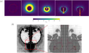 A Review of the Accuracy of Direct Numerical Simulation Tools for the Simulation of Non-Spherical Bubble Collapses