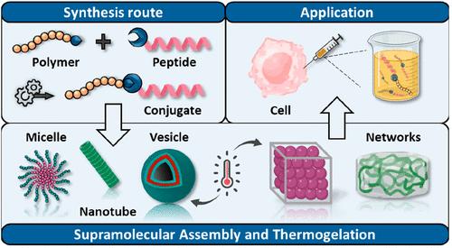 Supramolecular Assembly and Thermogelation Strategies Using Peptide–Polymer Conjugates