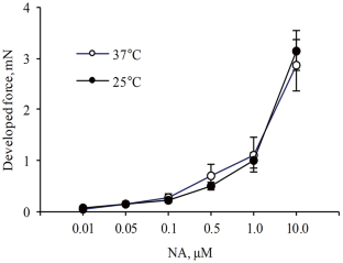 Effects of Cold on Adrenoreactivity of the Rat Superior Mesenteric Artery