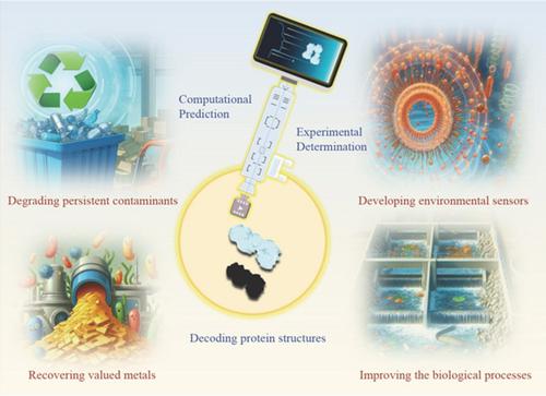 Broadening environmental research in the era of accurate protein structure determination and predictions