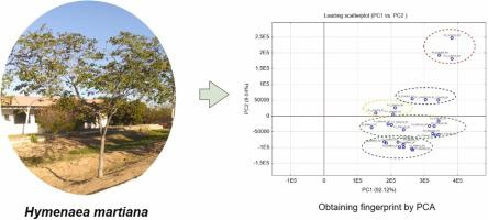 Chemometric studies in Hymenaea martiana