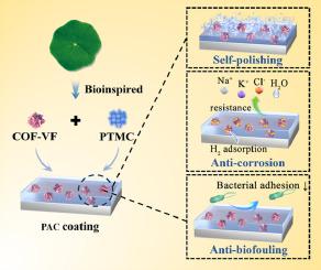 Biomimicking covalent organic frameworks nanocomposite coating for integrated enhanced anticorrosion and antifouling properties of a biodegradable magnesium stent