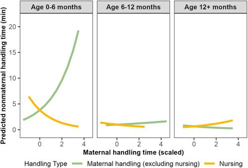 All together now: Assessing variation in maternal and nonmaternal handling of wild Colobus vellerosus infants.