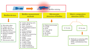 Advantages and Limitations of the Biofilm Study Methods