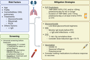 Current perspective on infections and mitigation strategies in primary systemic vasculitis.