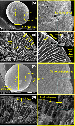 Sequestration of Pb(II) using channel-like porous spheres of carboxylated graphene oxide-incorporated cellulose acetate@iminodiacetic acid: optimization and mechanism study.