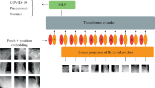 On Using Computer Linguistic Models in the Classification of Biomedical Images