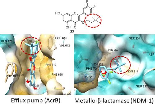 3-O-Substituted Quercetin: an Antibiotic-Potentiating Agent against Multidrug-Resistant Gram-Negative Enterobacteriaceae through Simultaneous Inhibition of Efflux Pump and Broad-Spectrum Carbapenemases