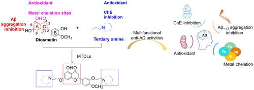 Diosmetin derivatives as multifunctional anti-AD ligands: Design, synthesis, and biological evaluation