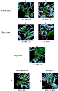 In Silico Drug Repurposing Endorse Amprenavir, Darunavir and Saquinavir to Target Enzymes of Multidrug Resistant Uropathogenic E. Coli