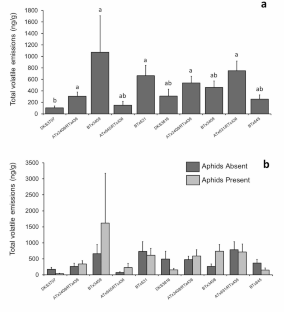 Aphid-Induced Volatiles and Subsequent Attraction of Natural Enemies Varies among Sorghum Cultivars.