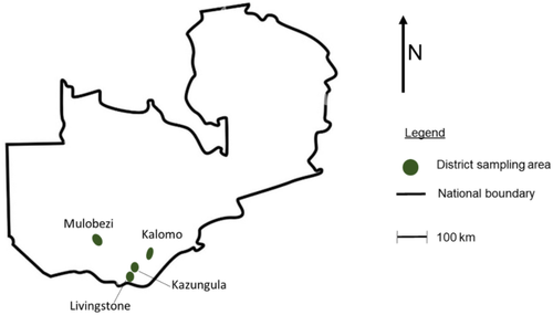 Maize Aspergillus section Flavi isolate diversity may be distinct from that of soil and subsequently the source of aflatoxin contamination.