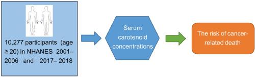 Higher serum carotenoid concentrations were associated with the lower risk of cancer-related death: Evidence from the National Health and Nutrition Examination Survey