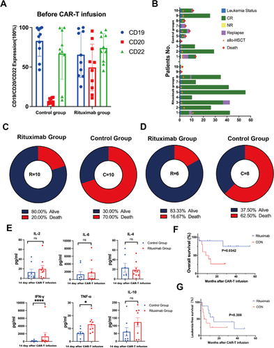 Rituximab potentially improves clinical outcomes of CAR-T therapy for r/r B-ALL via sensitizing leukemia cells to CAR-T-mediated cytotoxicity and reducing CAR-T exhaustion.