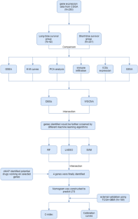 Predictive Model to Identify the Long Time Survivor in Patients with Glioblastoma: A Cohort Study Integrating Machine Learning Algorithms