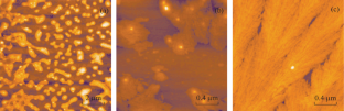 The Influence of Chitosan on the Ability of LPS to Interact with Cells of the Immune System