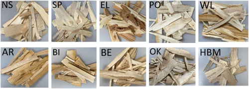 Characterization of randomly oriented strand boards manufactured from juvenile wood of underutilized wood species