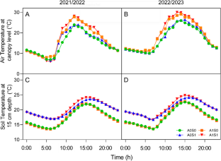 Plant Growth Adaptations of Chilean Native Potato Under Higher Soil and Air Temperature: A Field Comparative Study