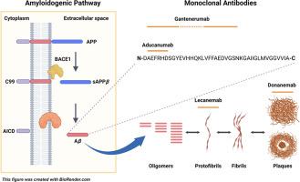 Monoclonal antibodies and aptamers: The future therapeutics for Alzheimer's disease