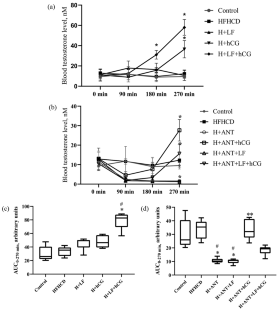 Leptin Fragment Modulates Stimulatory Effects of Chorionic Gonadotropin on Testicular Steroidogenesis in a Rat Model of Diet-Induced Obesity