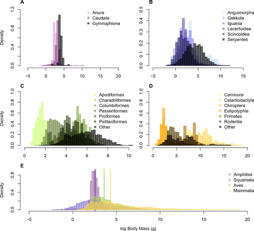 The Evolution of Body Size in Terrestrial Tetrapods