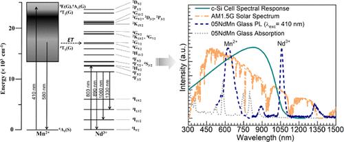 Physical, Thermal, and Optical Properties of Mn2+ and Nd3+ Containing Barium Phosphate Glasses