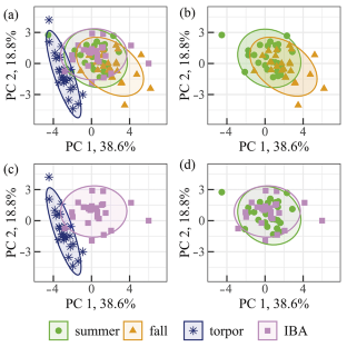 Adaptive Blood Cell Variability in the Annual Life Cycle of the Ground Squirrel Urocitellus undulatus