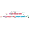 Evolution of density-modulated electron beams in drift sections