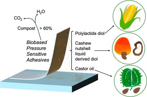 Biodegradable Polyurethane Pressure-Sensitive Adhesives Using Biobased Polyols with Distinct Intrinsic Properties
