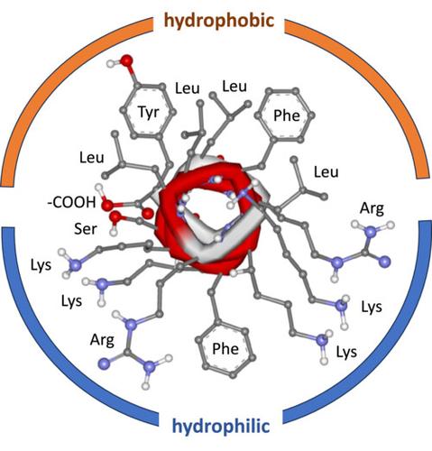 Relevance of amphiphilicity and helicity on the antibacterial action of a histatin 5-derived peptide