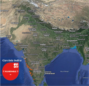 Droplet vitrification: a lifeline for long-term conservation of threatened species Garcinia indica