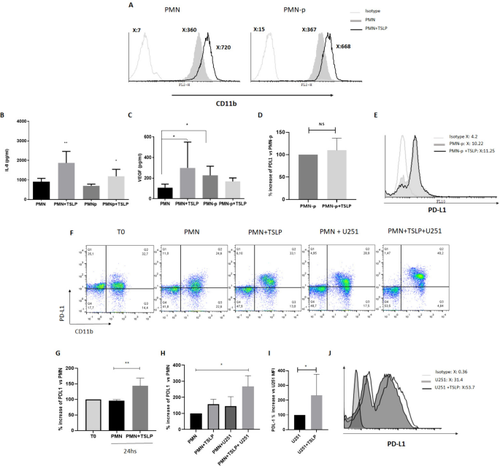 Correction: Relevance of Thymic Stromal Lymphopoietin on the Pathogenesis of Glioblastoma: Role of the Neutrophil