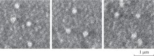 LIBS Efficiency Increase via Plasmonic Nanoparticles in the Study of Synthetic Opal Matrices