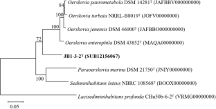 Oerskovia flava sp. nov., a deoxynivalenol (DON)-degrading actinomycete isolated from the rhizosphere soil of long-term continuous cropping cucumber